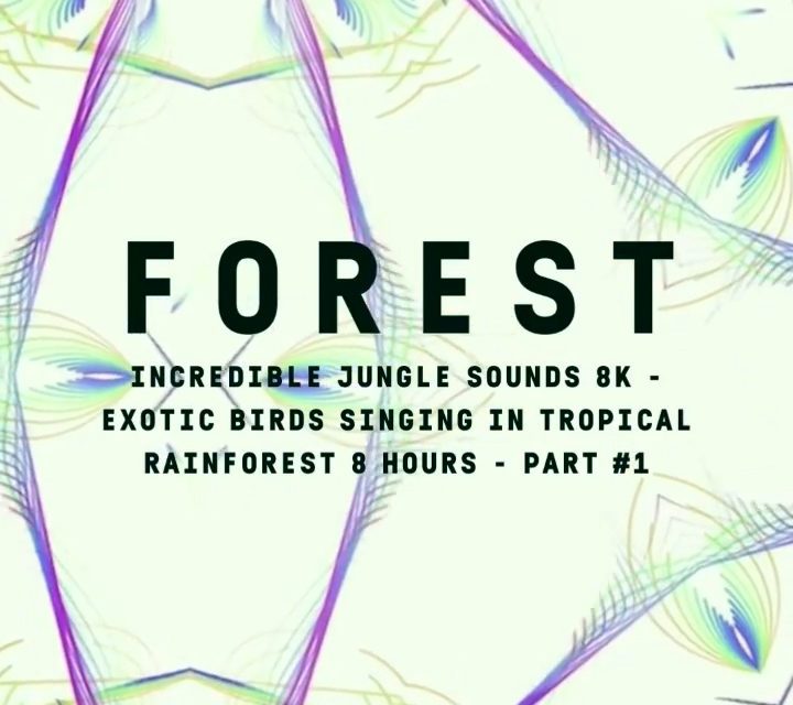 kaleidoscope_forest