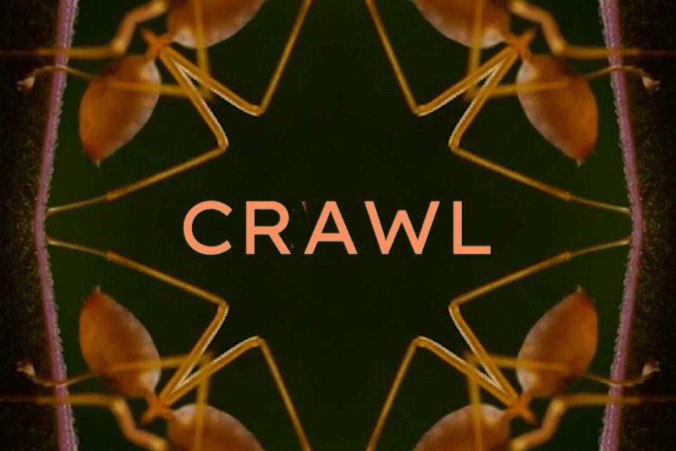 kaleidoscope_crawl